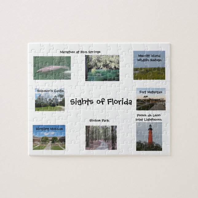 Sikt av Florida Puzzle Pussel (Horisontell)