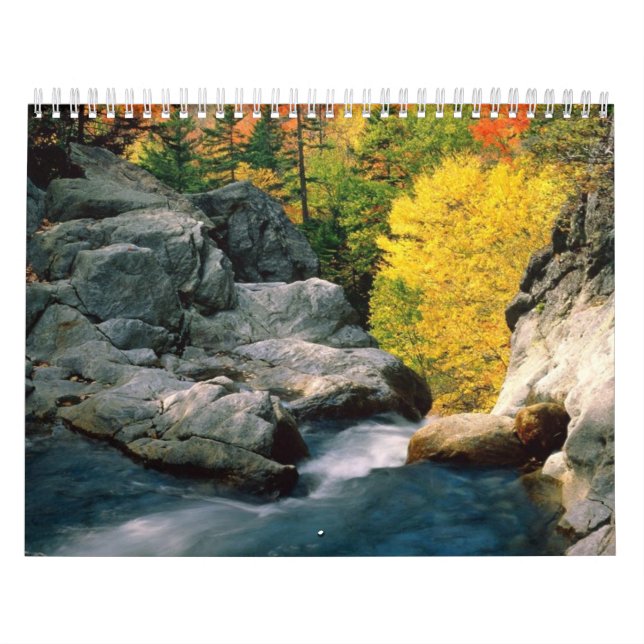 Sikt som ser kalendern kalender (Omslag)