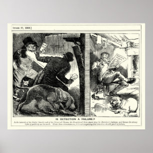 Sila baddaren - är upptäckt per fel, 1888 poster