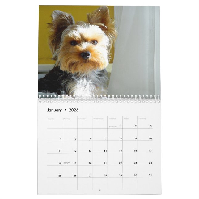 "Sila" Yorkien - kalender 2014 (Jan 2026)