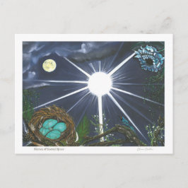 Silence of Sacred Space Vykort