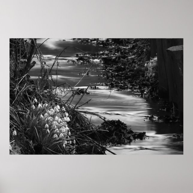 Silent creek poster (Framsidan)