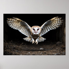 Silent Descent - Barn Uggla under flygning Poster