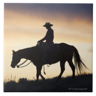 Silhouette av en Cowgirl på henne häst mot Kakelplatta