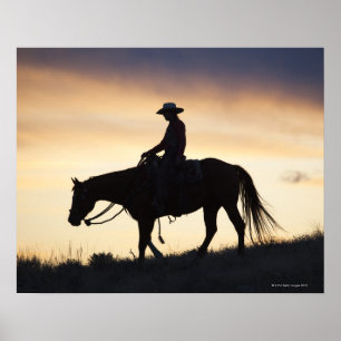 Silhouette av en Cowgirl på henne häst mot Poster