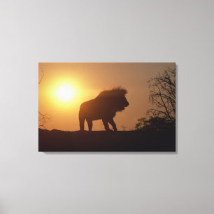 Silhouette av ett lejont canvastryck