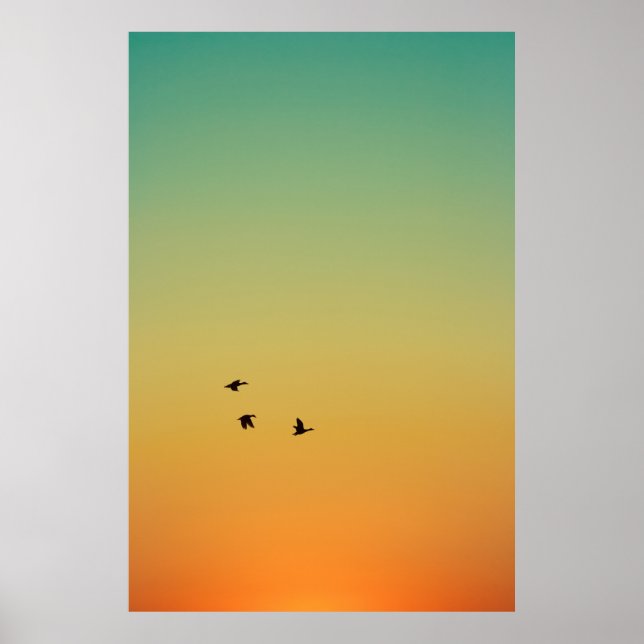 SILHOUETTE AV FÅGLAR SOM FLYGER UNDER SUNSET POSTER (Framsidan)