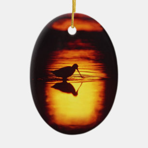 Silhouette av shorebirden på brigantinen NWR Julgransprydnad Keramik