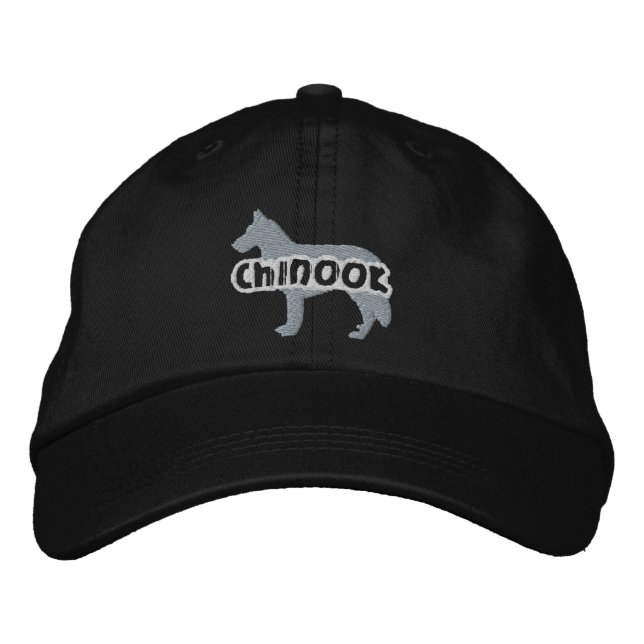 Silhouette Chinook Embroized Hat Broderad Keps (Framsida)