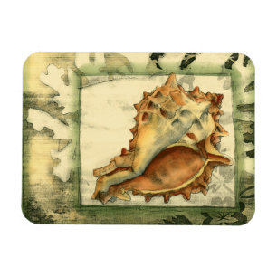 Silhouette Conch-Snäcka Magnet