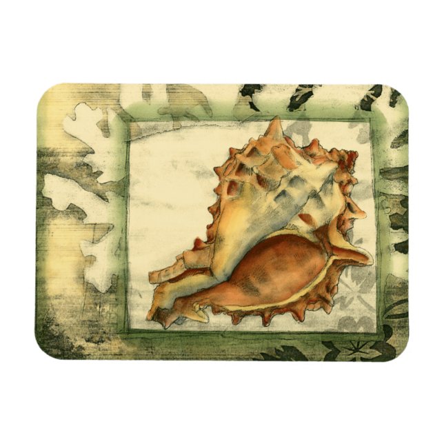 Silhouette Conch-Snäcka Magnet (Horisontell)