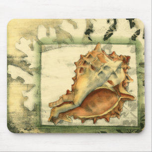 Silhouette Conch-Snäcka Musmatta