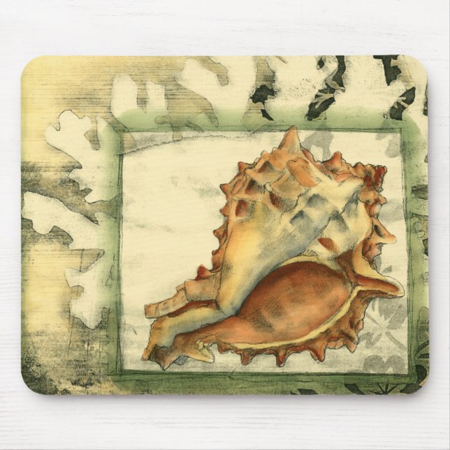 Silhouette Conch-Snäcka Musmatta (Framsidan)