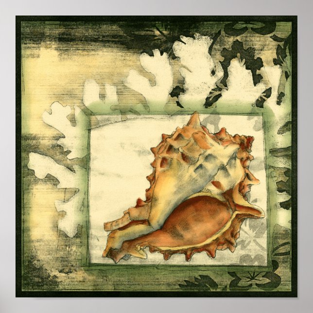 Silhouette Conch-Snäcka Poster (Framsidan)