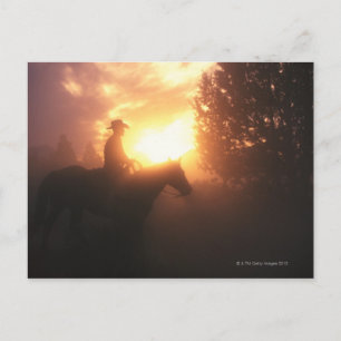Silhouette cowboy på häst vykort