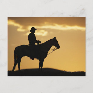 Silhouette cowboy på horseback vid solnedgång elle vykort