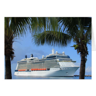Silhouette Cruise till Paradise OBS Kort