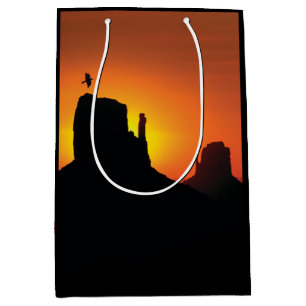 Silhouette Desert Sunset SouthWestern