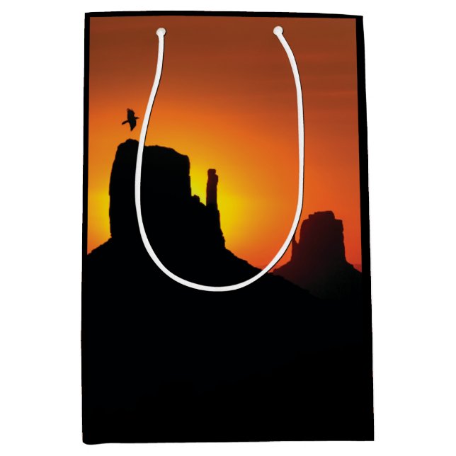 Silhouette Desert Sunset SouthWestern (Framsidan)