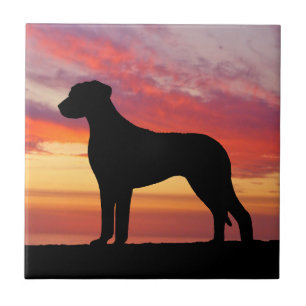Silhouette för Rhodesian Ridgeback Kakelplatta