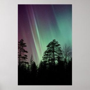 SILHOUETTE FOTO AV AURORA BOREALIS POSTER