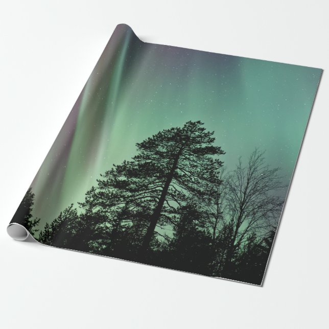 SILHOUETTE FOTO AV AURORA BOREALIS PRESENTPAPPER (Utrullad)