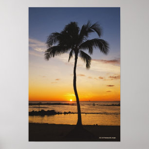 Silhouette från Handflatan Träd med en röd Orange Poster