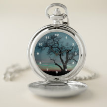 Silhouette från Träd vid Sunset