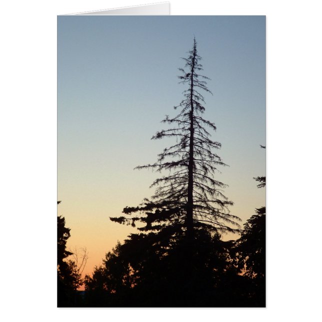 Silhouette Hälsningskort (Framsidan)