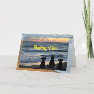 Silhouette-hund på havets surfa Greeting Card Helgkort