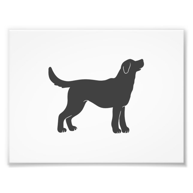 Silhouette hund stående - välj bakgrund färg fototryck (Framsidan)