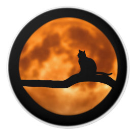 Silhouette i en svart katt i Träd Knopp