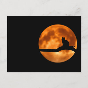 Silhouette i en svart katt i Träd Vykort