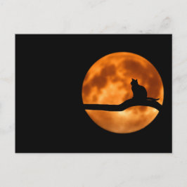 Silhouette i en svart katt i Träd Vykort