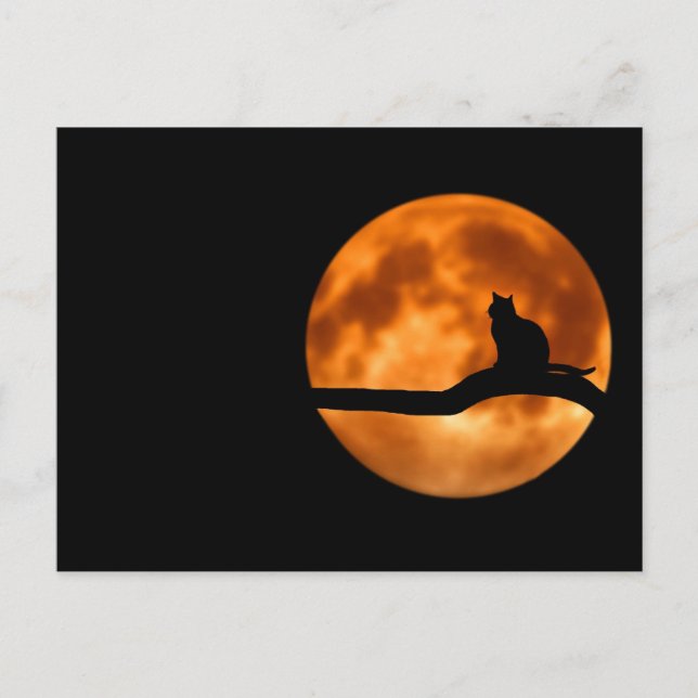 Silhouette i en svart katt i Träd Vykort (Framsida)