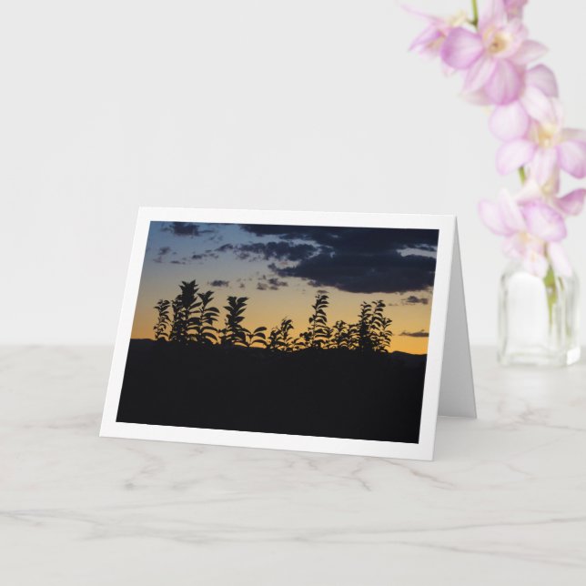 Silhouette-Löv på natten Kort (Orkide)