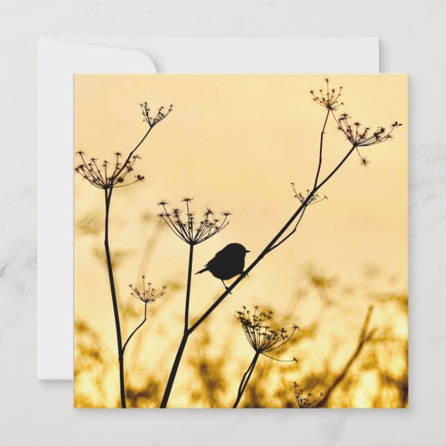 Silhouette of chickadee perched against gold light anteckningskort (Framsida)
