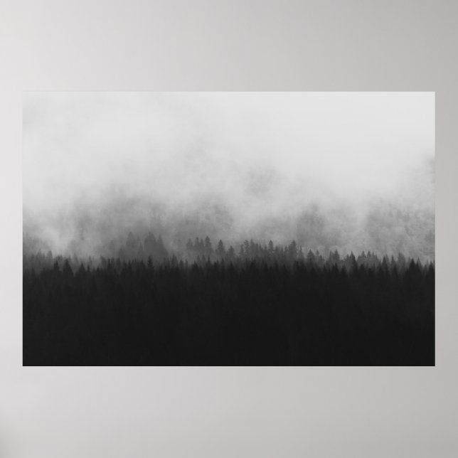 SILHOUETTE OF TREES WITH FOGS POSTER (Framsidan)