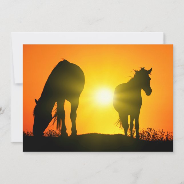 Silhouette of Two Horses at Sunset (Framsida)