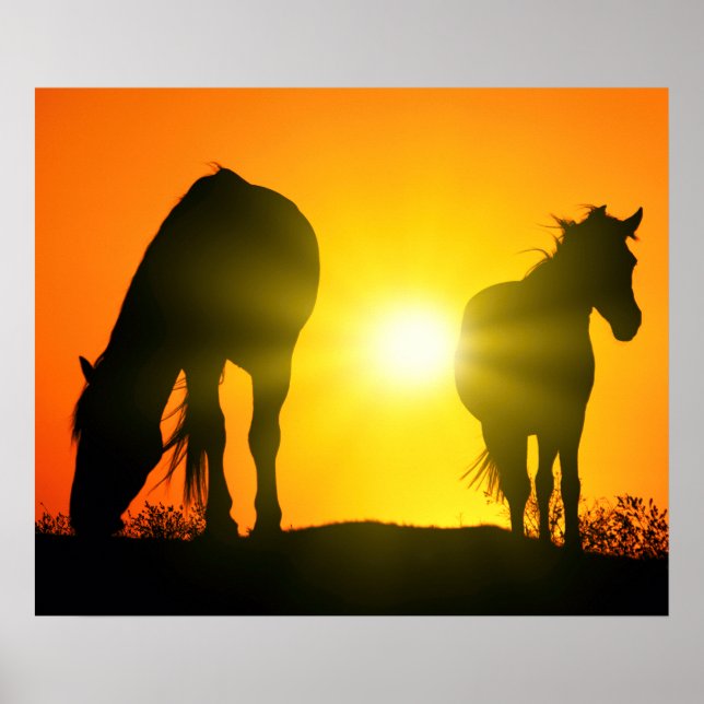 Silhouette of Two Horses at Sunset Poster (Framsidan)