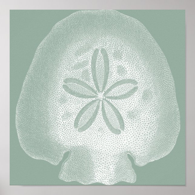 Silhouette Sand Dollar Poster (Framsidan)
