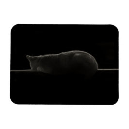 Silhouette Sleeping Cat Magnet