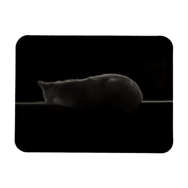Silhouette Sleeping Cat Magnet (Horisontell)