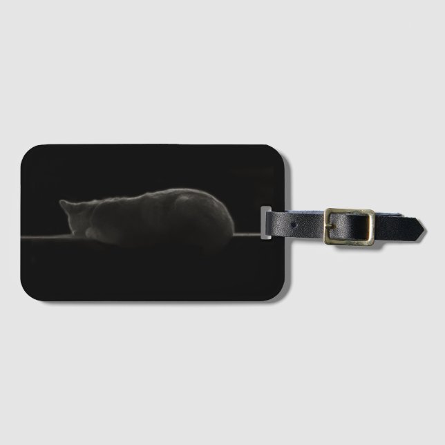 Silhouette Sleeping Cat Photo Bagagebricka (Framsida horisontal)