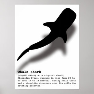 Silhouette Whale-haj med definitionsfack Poster
