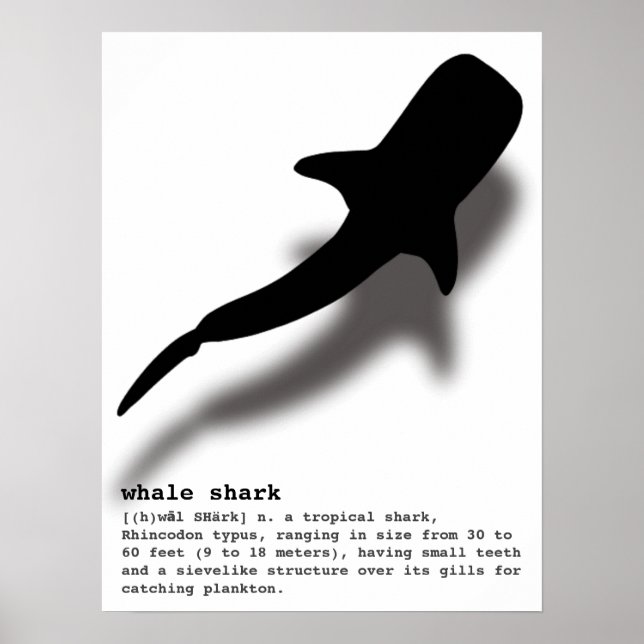 Silhouette Whale-haj med definitionsfack Poster (Framsidan)