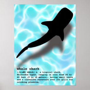 Silhouette Whale-haj med definitionsfack Poster