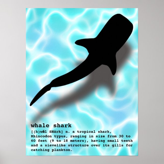 Silhouette Whale-haj med definitionsfack Poster (Framsidan)
