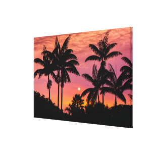 Silhouetted handflatan träd, Hawaii Canvastryck