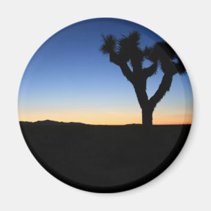 Silhouetted Joshua träd Magnet